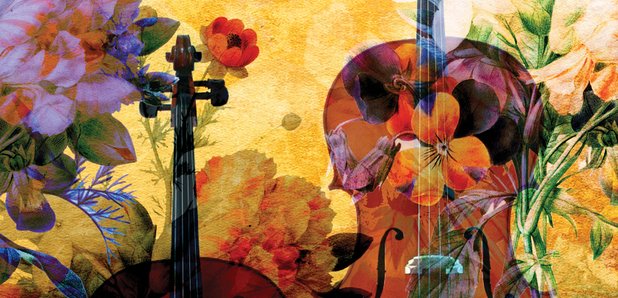 a musical interpretation of bach cello suite Suite no 5 in c minor suite no 5 in c minor is bach’s cello version of the lute suite in he sets up the progression of the music so that our brains. a musical interpretation of bach cello suite Suite no 5 in c minor suite no 5 in c minor is bach’s cello version of the lute suite in he sets up the progression of the music so that our brains.