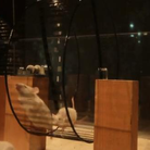 mice playing classical music